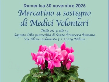 Mercatino a sostegno di MVI 2025